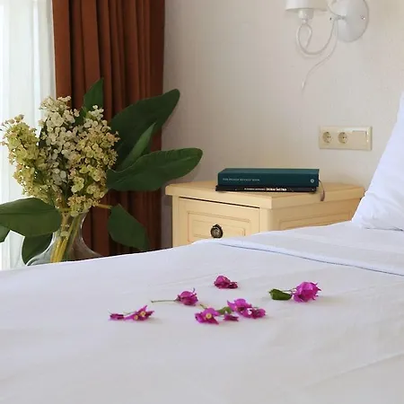Hotel Ceshme 3*