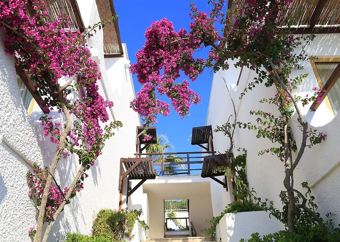 Готель Ceshme Чешме